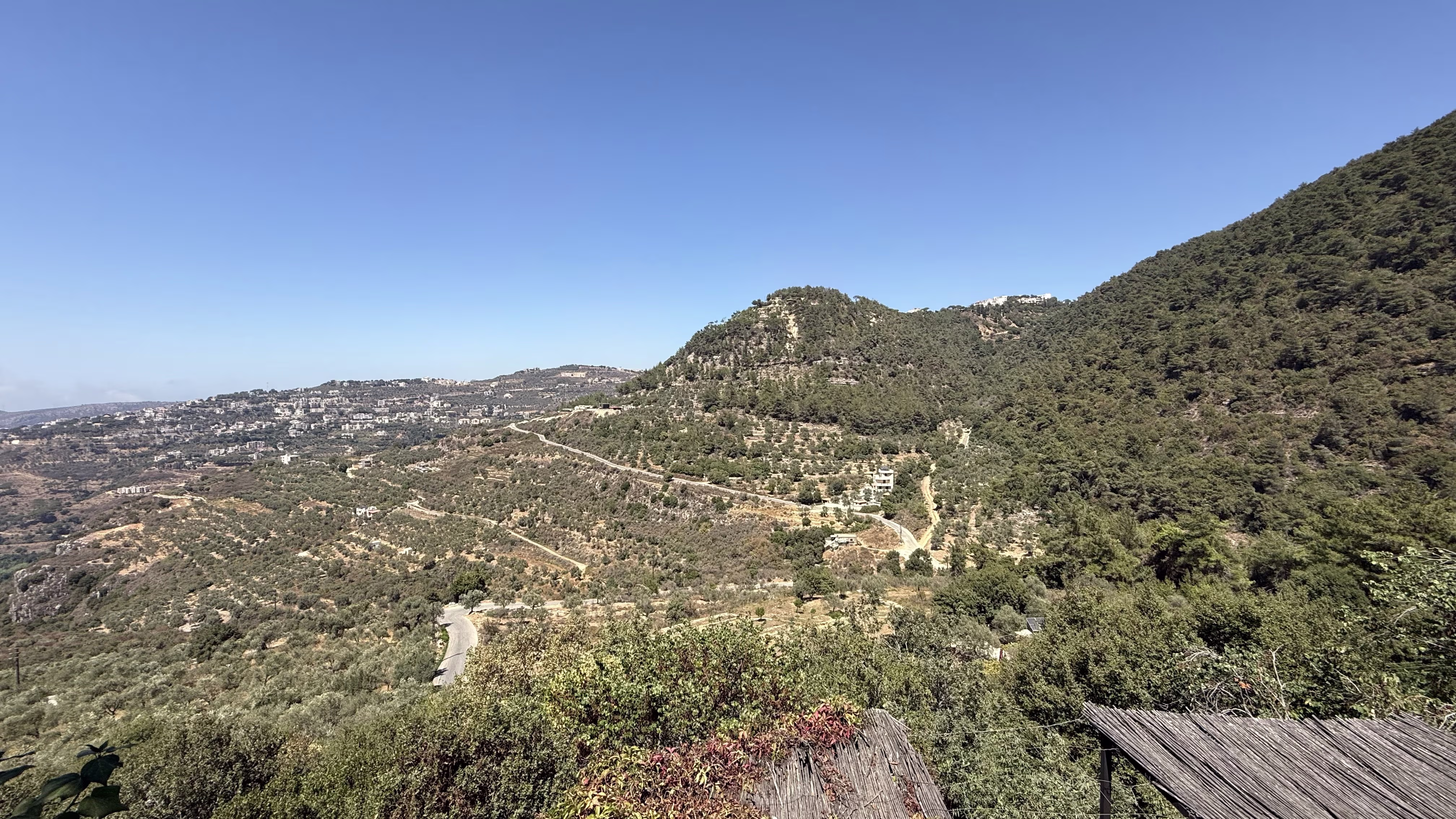Green landscape
